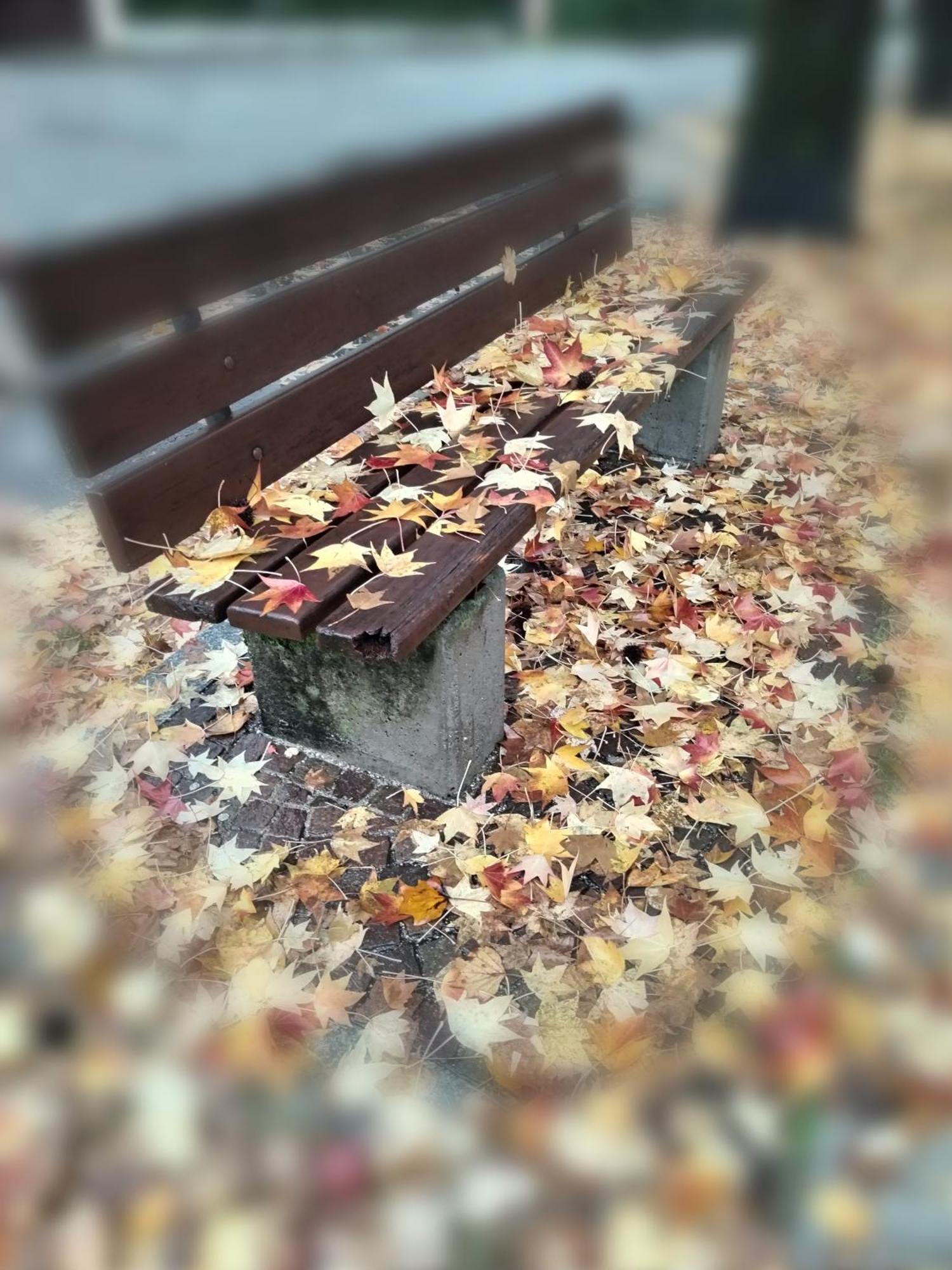 Un Balcone Sul Lago Omegna Kültér fotó