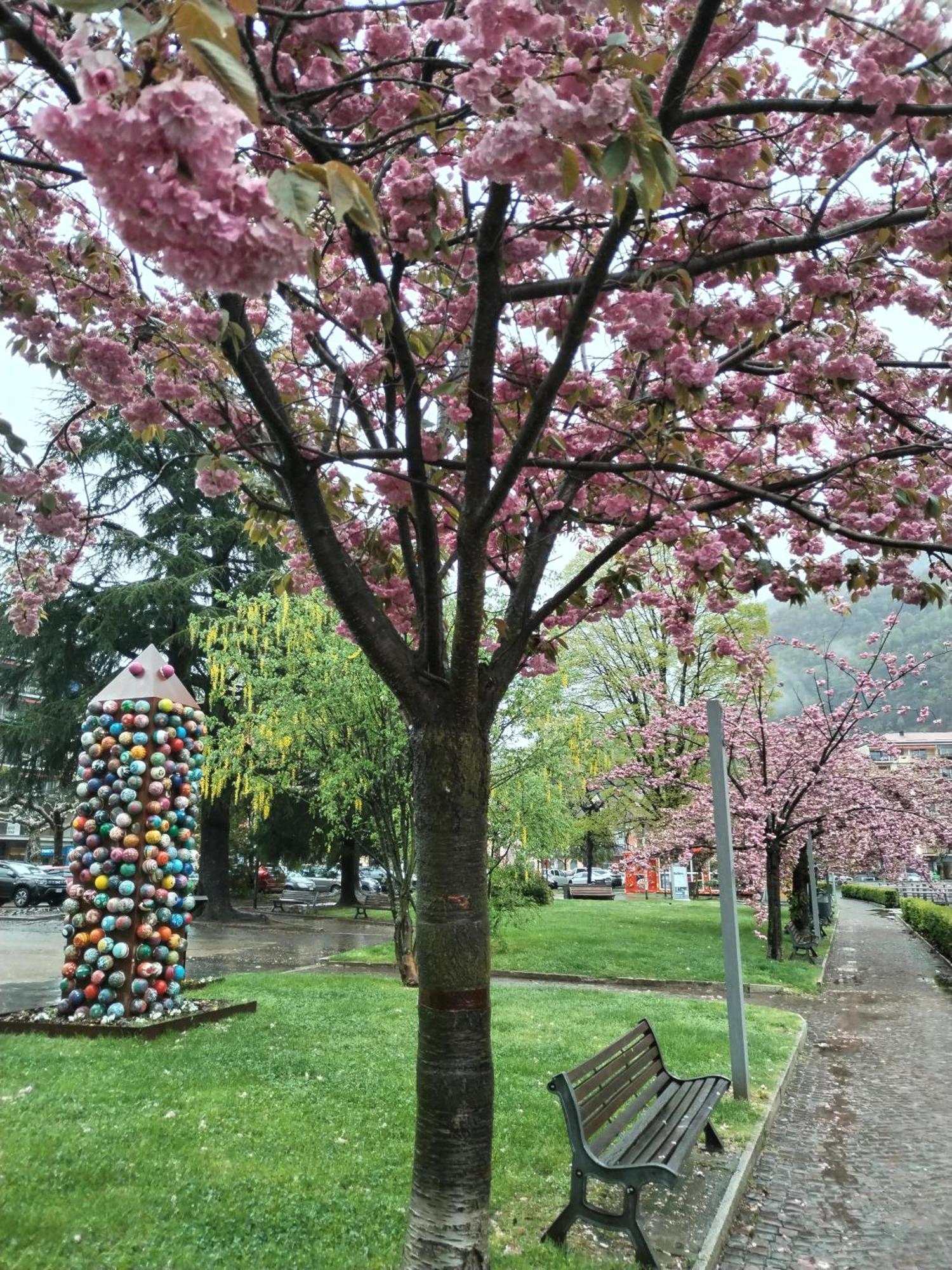 Un Balcone Sul Lago Omegna Kültér fotó