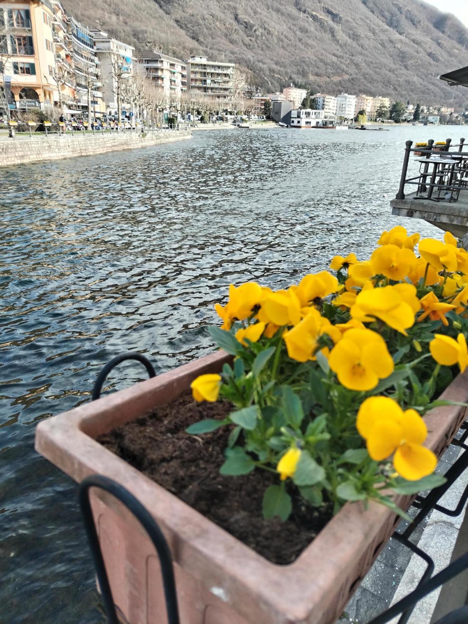 Un Balcone Sul Lago Omegna Kültér fotó